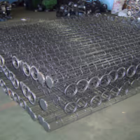 CAGES